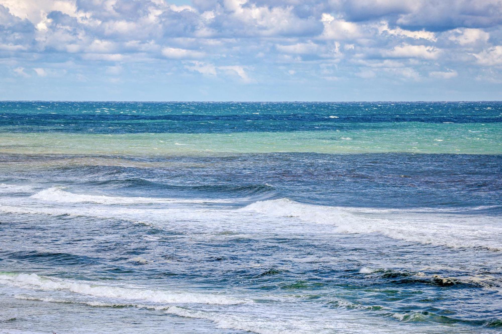Seychelles Beach Resort IV Panama City Beach Rum bild